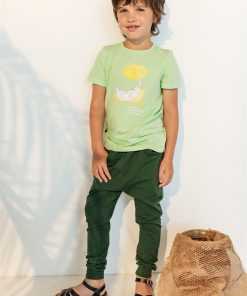 HEBE - t-shirt - kat - licht groen - Eileen4Kids