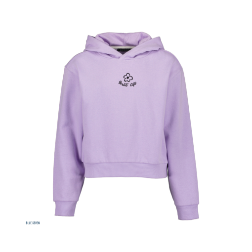 Blue Seven - hoodie - lila - Eileen4Kids