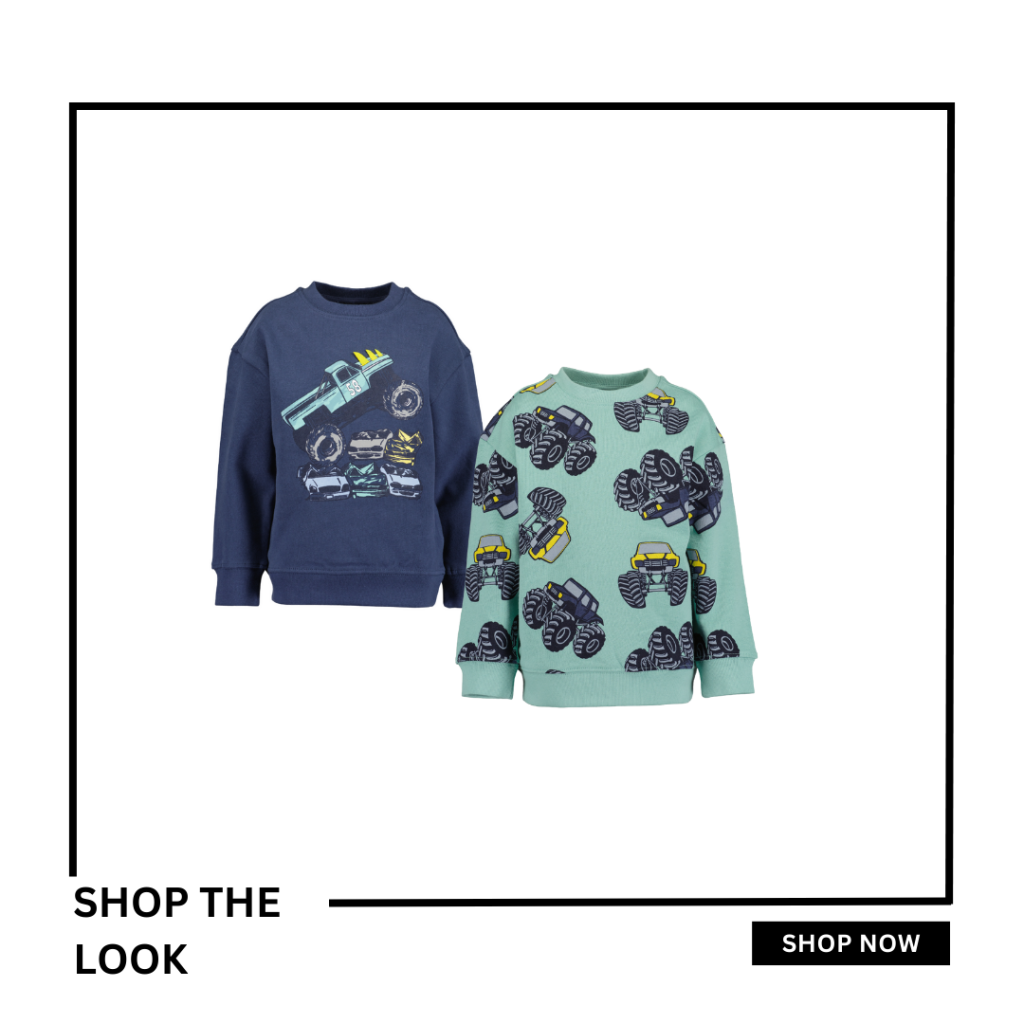 shop the look sweater truck - Eileen4Kids